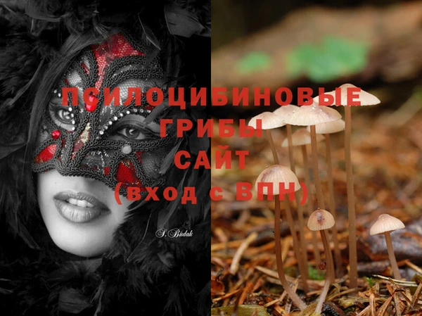ECSTASY Верхний Тагил