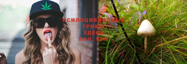 бутират Верея