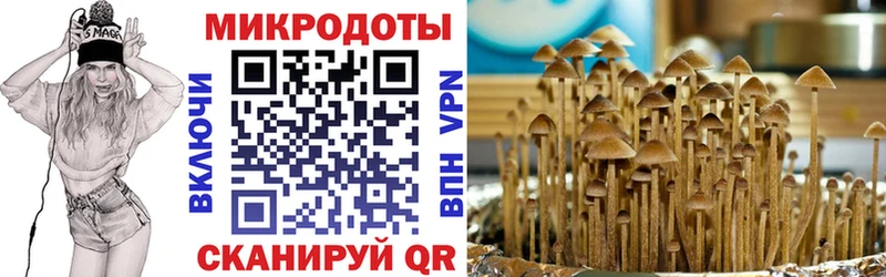 где продают наркотики  Пятигорск  blacksprut вход  Псилоцибиновые грибы мицелий 